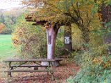 Dassel - Burgberg-Pilz im Herbst 01